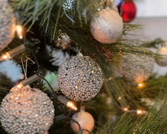 Celebrate Festive Season!